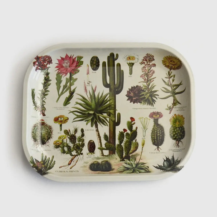 Cactus Botânica Tray