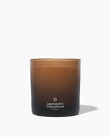 Santal Cardamom Candle & Playlist
