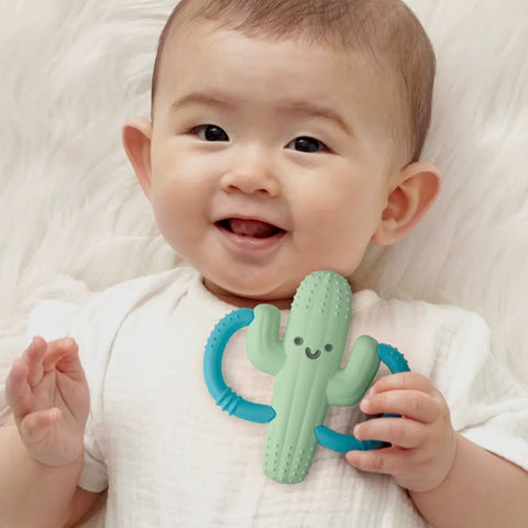 Cactus Teether