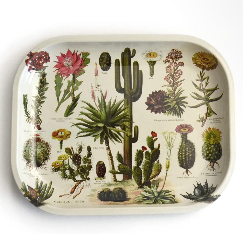 Cactus Metal Trinket Tray