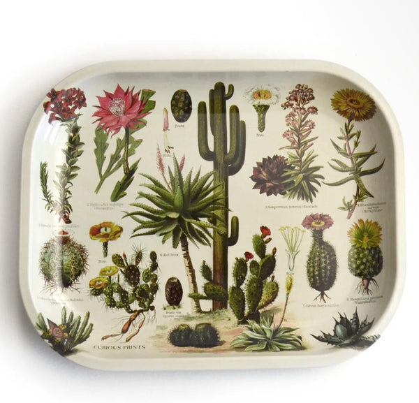 Cactus Metal Trinket Tray