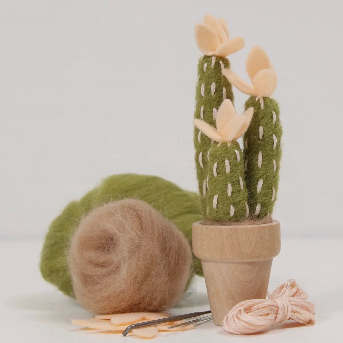 Mojave Cactus Kit