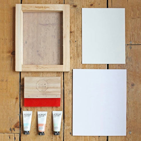 Screen Printing Kit