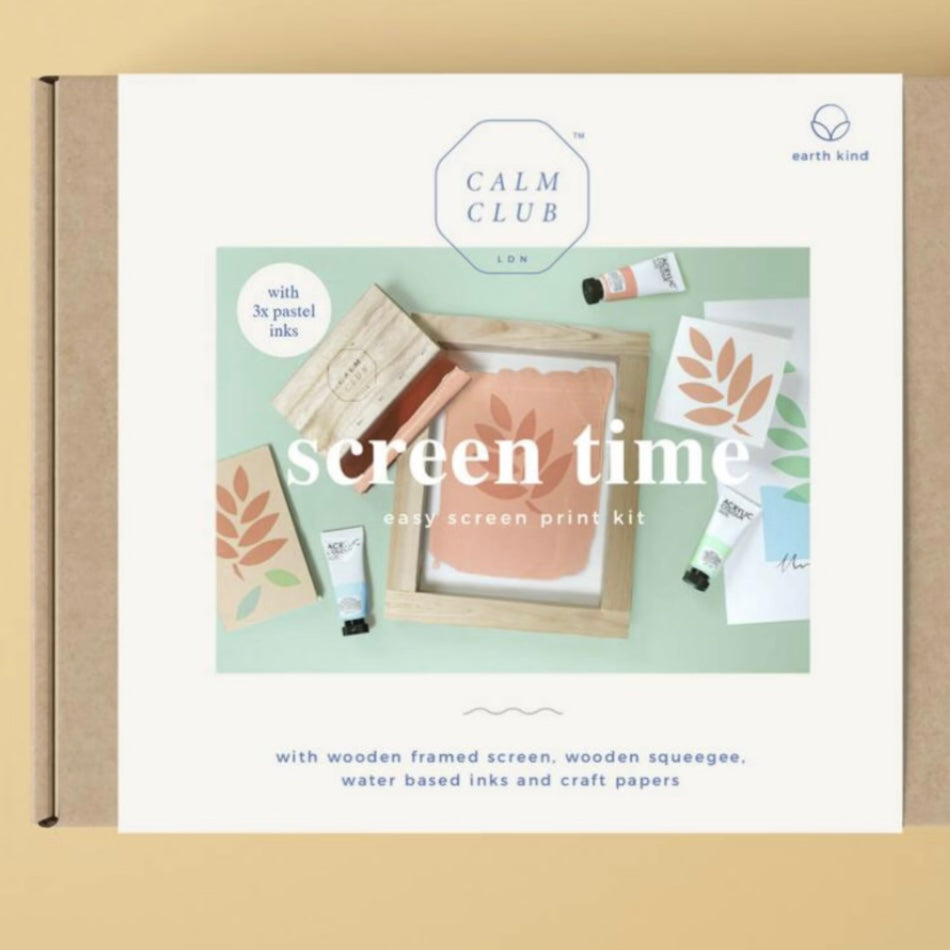 Screen Printing Kit