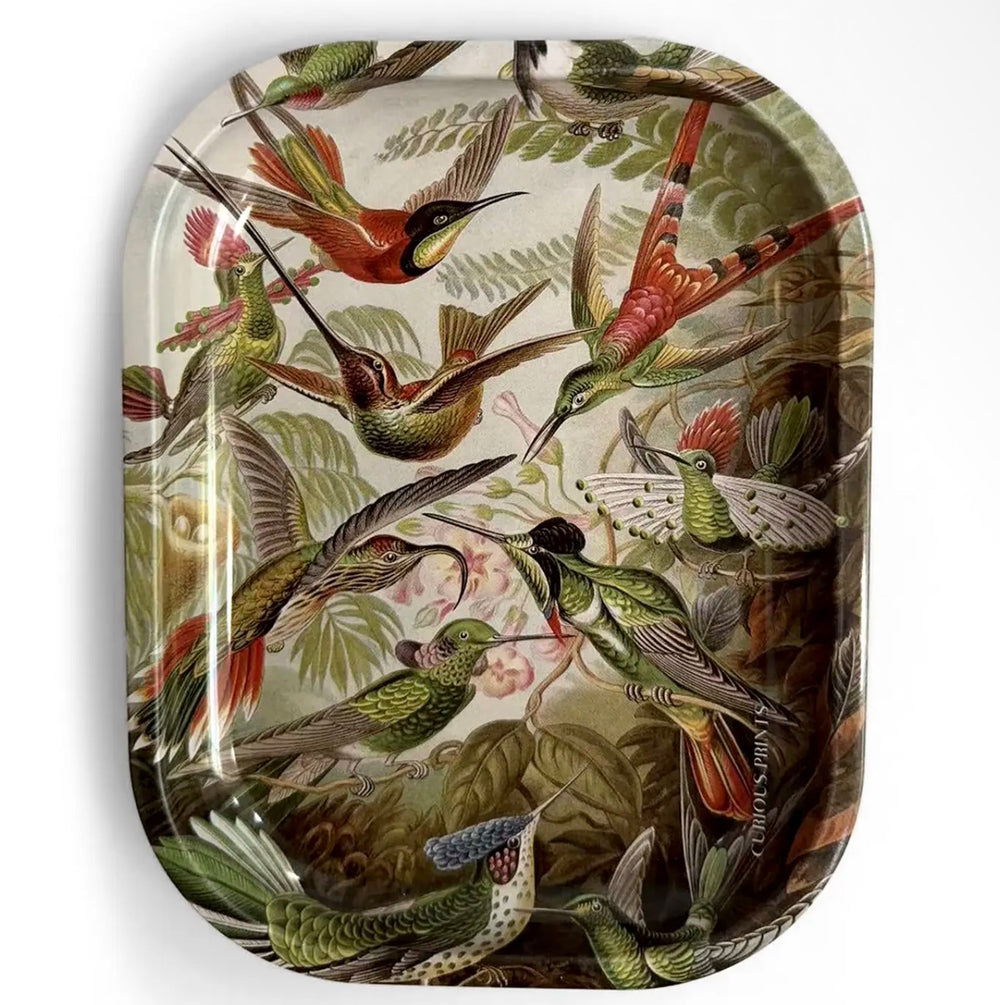 Humming Bird Metal Trinket Tray