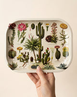 Cactus Metal Trinket Tray