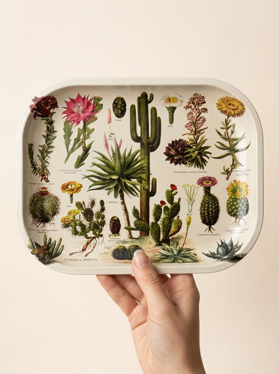 Cactus Metal Trinket Tray