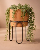 Jaro Small Terracotta Planter