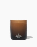 Santal Cardamom Candle & Playlist