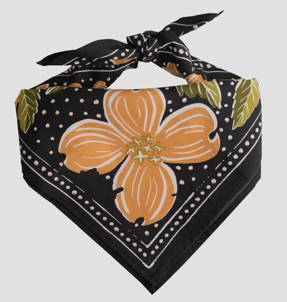 Amy Bandana