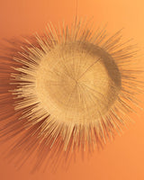 Sun Plate