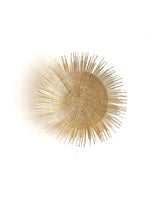 Sun Plate
