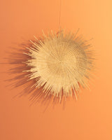 Sun Plate