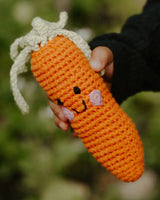 Carrot Rattle